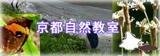 ���ؐ搶����\�̋��s���R����